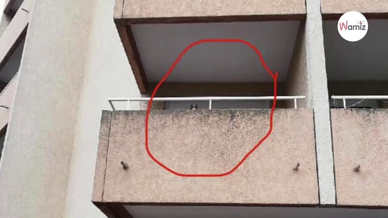 Familie macht schockierende Entdeckung auf Nachbars Balkon