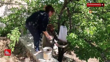 Kahramanmaraş'ta sumak ekşisi sofralardaki yerini alıyor