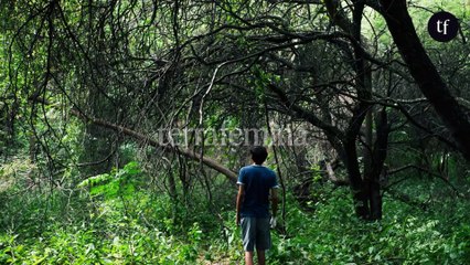 En salles : "Almamula", un film d’épouvante argentin très hypnotique qui se joue des codes du genre pour dénoncer l'homophobie et le puritanisme