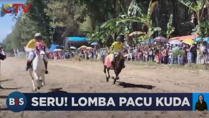 63 Kuda Ramaikan Pacuan Kuda di Bondowoso