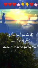 #whatsaapstatus#viral#islamic#foryou#foryou