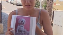 Familia busca a su perro perdido en Almería donde veranean: "Si entendéis el dolor de perder a un hijo, es lo mismo"