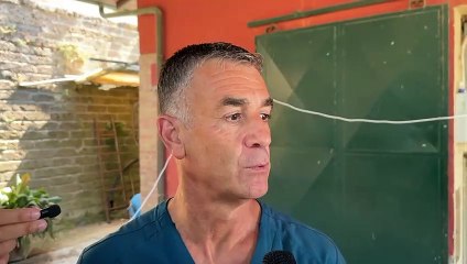 Previsite palio, intervista al veterinario colonnello Carlo Alberto Minniti