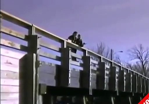 Chris Evans en 'Biodiversity Wild About Life!'