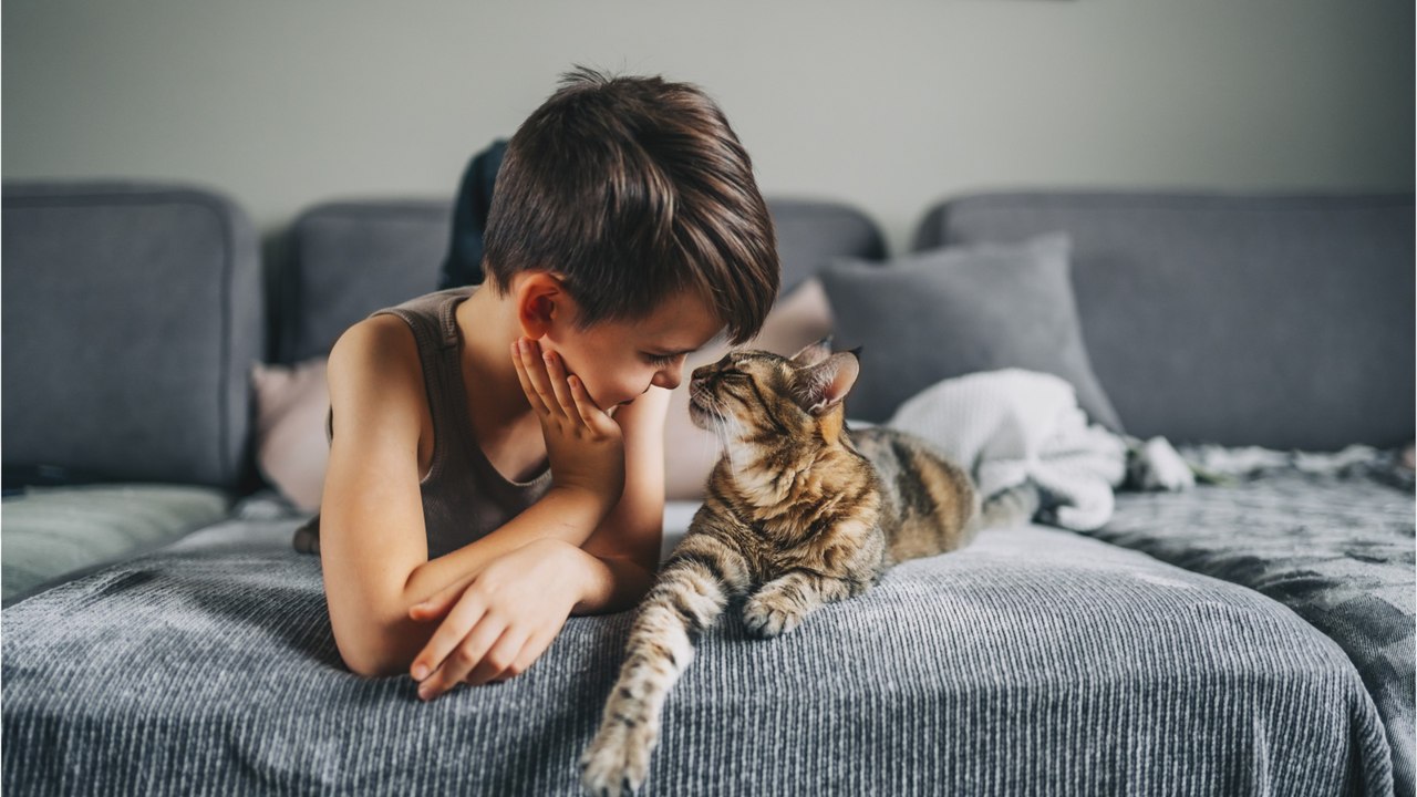 Apprendre à respecter les animaux de compagnie, voici le nouveau cours qui attend les élèves à la rentrée de septembre