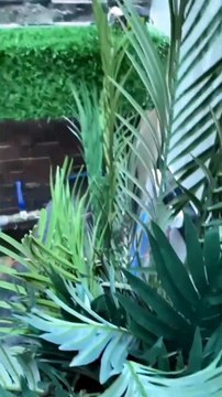 Interior design packages Bangalore - Outdoor & Bathroom Design With Diseno Homes