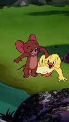 Tải video: Swimming_Lessons_for_Little_Quacker__#shorts_#tomandjerry___‪@wbkids‬(360p)