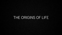 The Evolution of Life: From Single Cells to Singularity | CuriosityOrigin