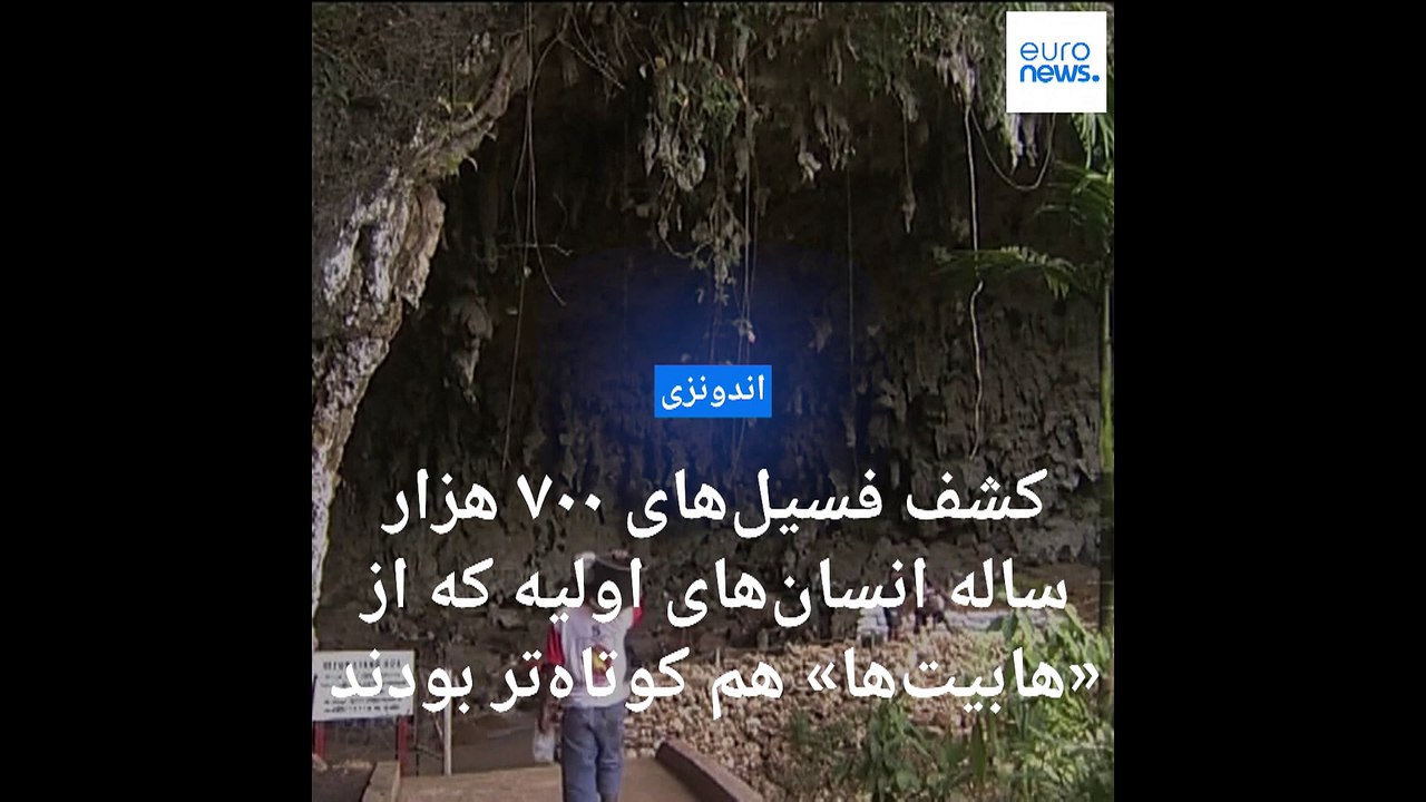 کشف فسیل‌های ۷۰۰ هزار ساله انسان‌های اولیه که از «هابیت‌ها» هم کوتاه‌تر بودند