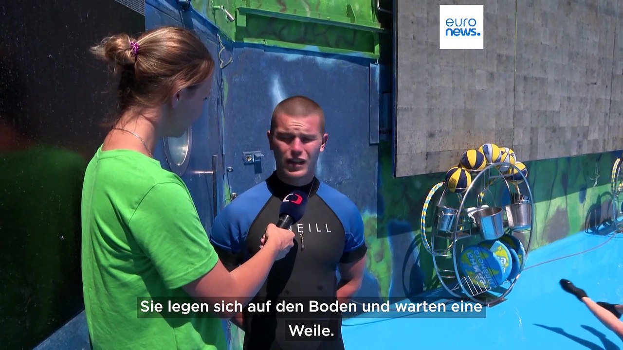Trotz Krieg in der Ukraine: Delfinarium in Odessa bleibt geöffnet