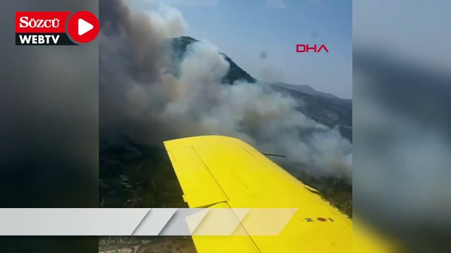 Aydın'da makilik alanda çıkan yangın ormana sıçradı