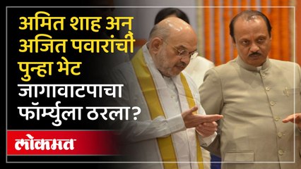 विधानसभेसाठी अजितदादांची जोरदार तयारी, पुन्हा घेतली अमित शाहंची भेट