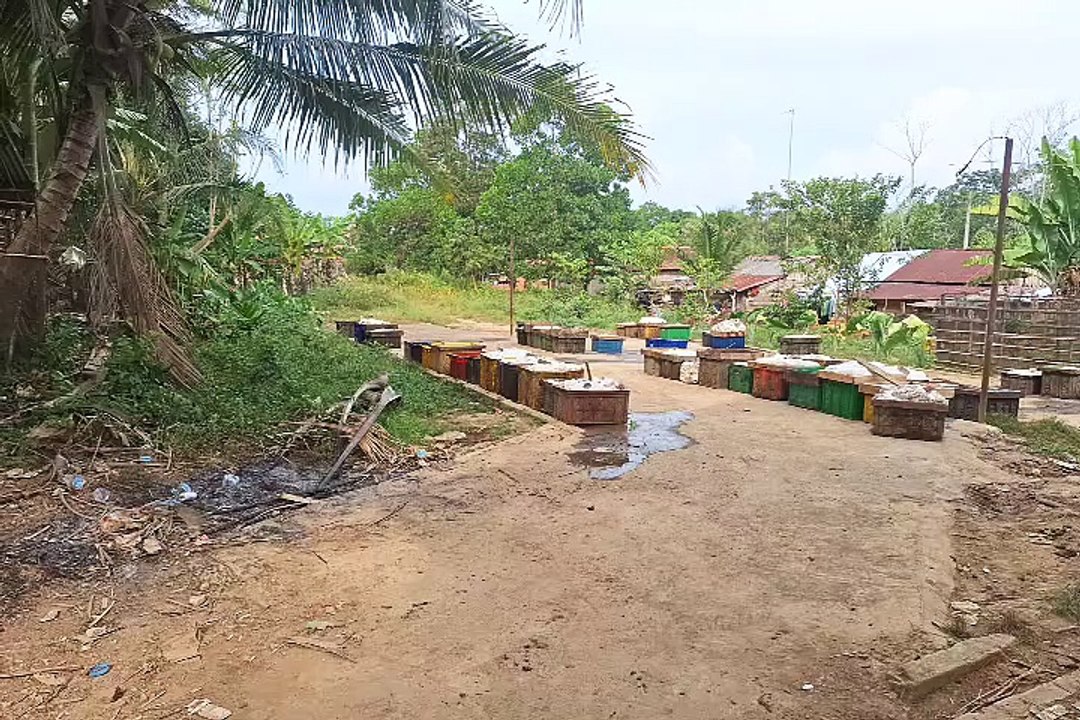 Sarekat Hijau Indonesia Bertemu UPPB Maju Bersama