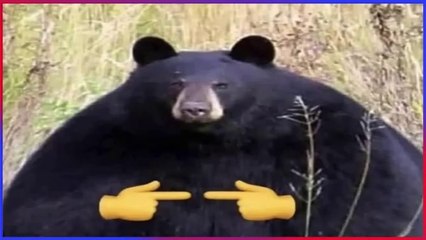 Extreme Try Not To Laugh Challenge