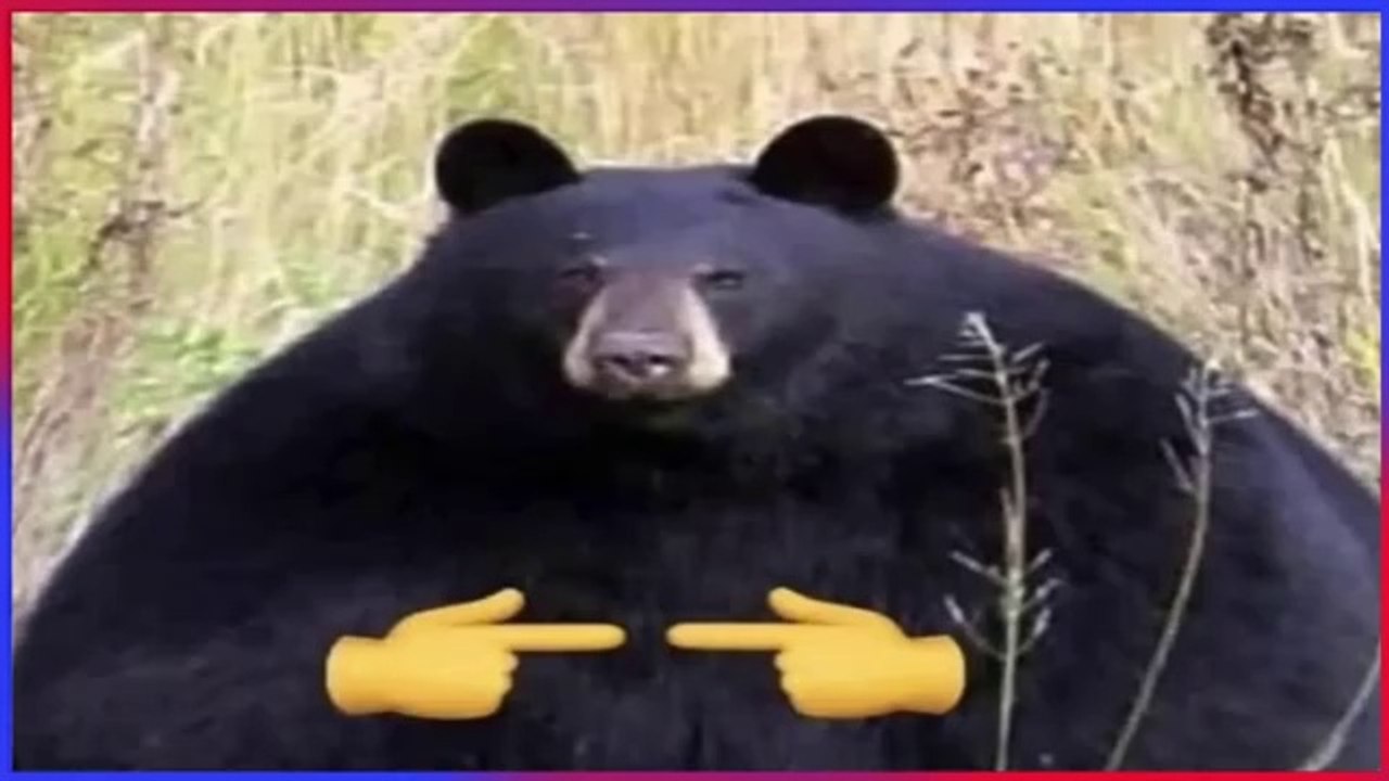 Extreme Try Not To Laugh Challenge