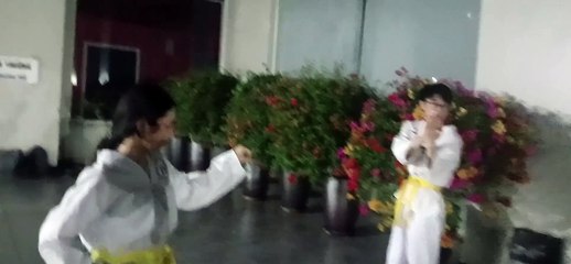 Taekwondo, tkd 20240718_200028