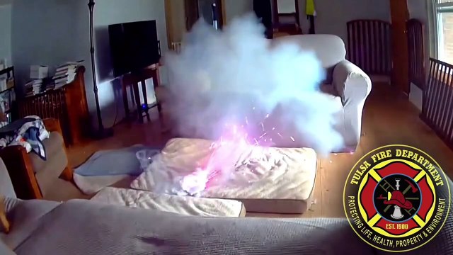 Cachorro faz bateria de lítio explodir e incendiar casa; reação dos pets chama atenção