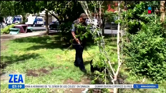 Alistan la carrera de Perritos en fuga en la alcaldía Cuauhtémoc , Ciudad de México