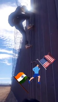 America की donkey _shorts _viral _short _youtubeshorts(480P)