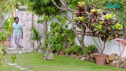 Yaar e Mann Episode 46 l Mashal Khan l Haris Waheed l Fariya Hassan l Umer Aalam [ ENG CC ] Green TV(360P)