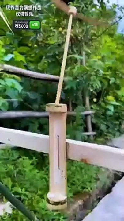 A_Story_of_Husband_Wife__~_Funny_video_#shorts_#botnetwork_#comedy(360p)