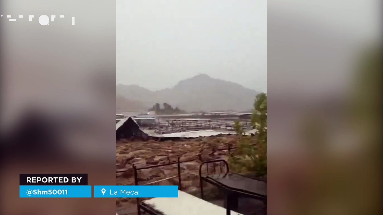 Torrential rains cause catastrophic flooding in Mecca, Saudi Arabia