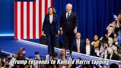 Trump responds to Kamala Harris tapping Tim Walz as running mate: 'I can barely handle it'  Previous President Donald Trump joined 'Fox and Companions' to examine his response to the Harris-Walz ticket, how he will switch seminar on central questions like