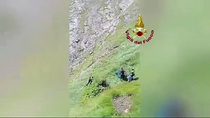 Belluno, due cavalli cadono nel dirupo: trasportati e messi in salvo con l'elicottero