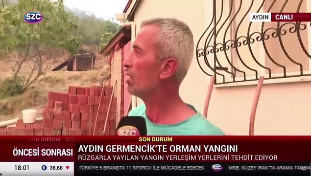 Aydın'da orman yangını