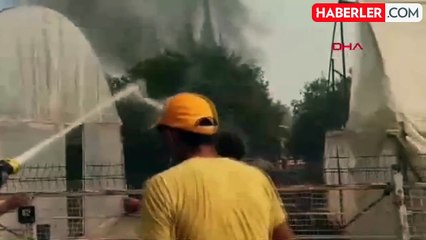 Aydın Germencik'te Ormana Sıçrayan Maki Yangını