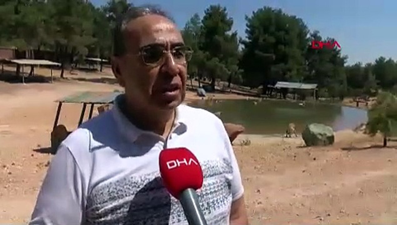 AK Partili belediyenin sokak hayvanları çözümü sosyal medya oldu