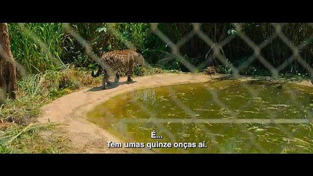 O Clube das Mulheres de Negócios Trailer Oficial