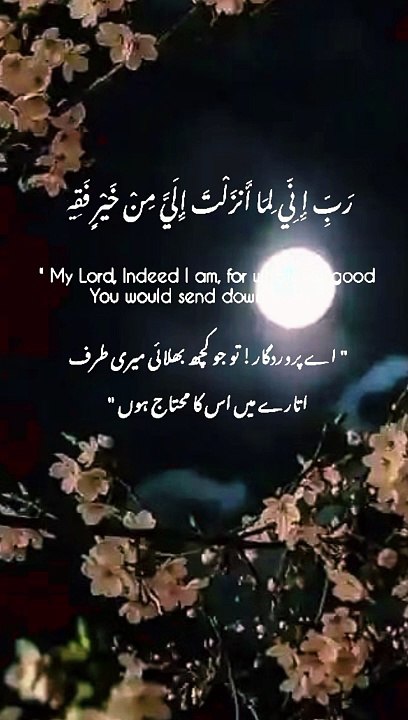 Islamic viral Short| slamic video| Holy Quran verses|Islamic viral status|Islamic reel