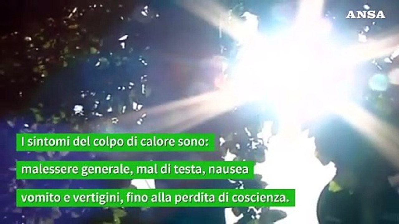 Il colpo di calore puo' far collassare il fegato, ecco come