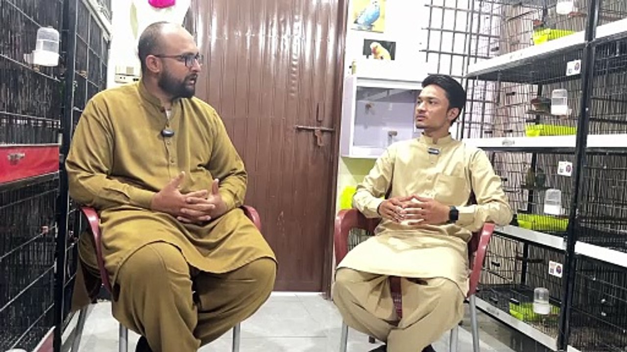 Unlock the Secrets of Love Birds Mutation Breeding Setup