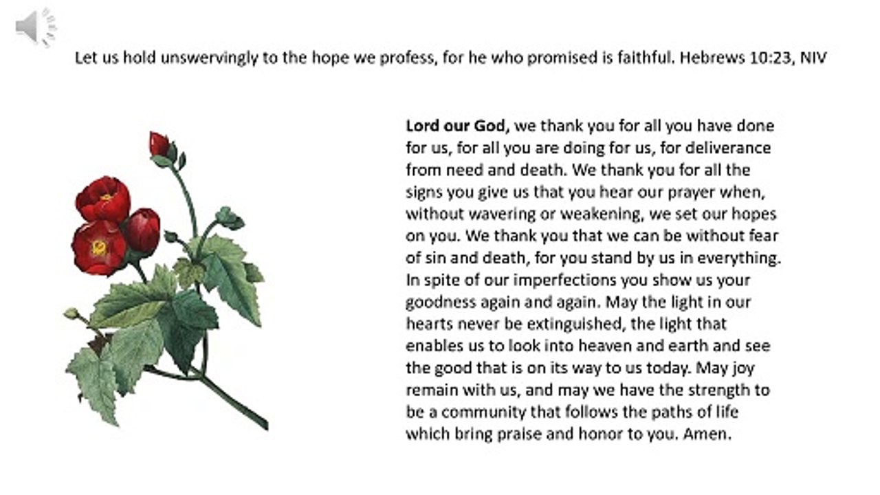 Daily Prayer 08-08-2024