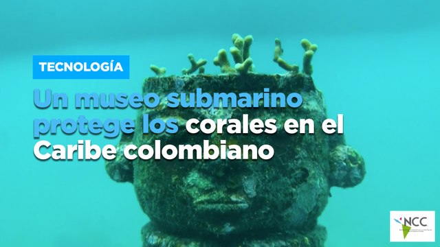Un museo submarino protege los corales en el Caribe colombiano