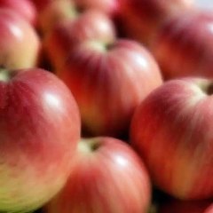 "Epic Random Videos Compilation 2024 | Funny, Amazing, and Unbelievable Moments"