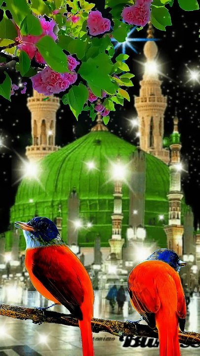 Beautiful Islamic status naat viral video