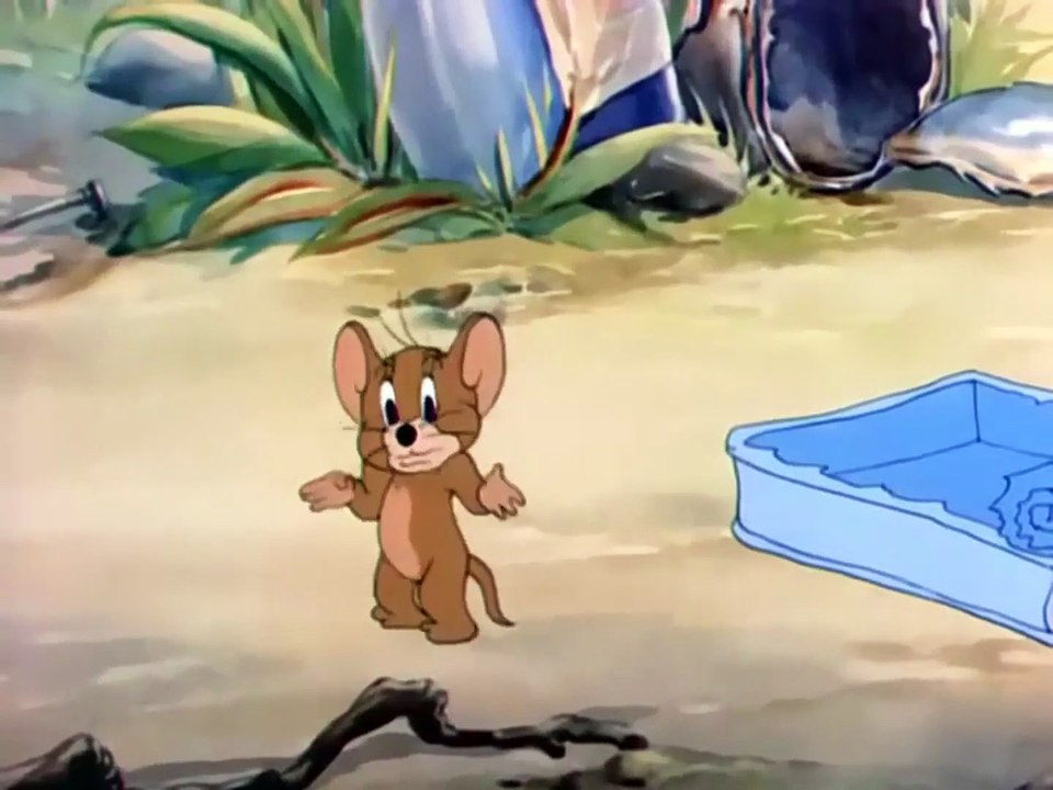 Tom And Jerry - Sufferin Cats!