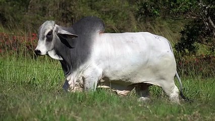 Mr W2R 1478 > WRRB-1478