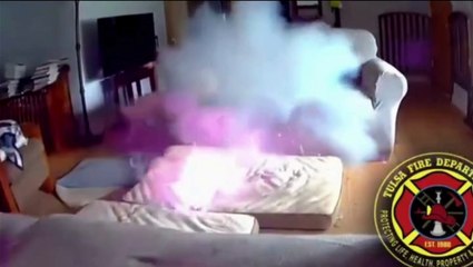 Cachorro causa incêndio após mastigar carregador portátil; assista