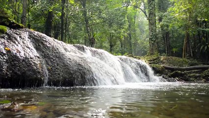 vecteezy_lifting-shot-of-fresh-water-flowing-over-the-rock-to-natural_4450274