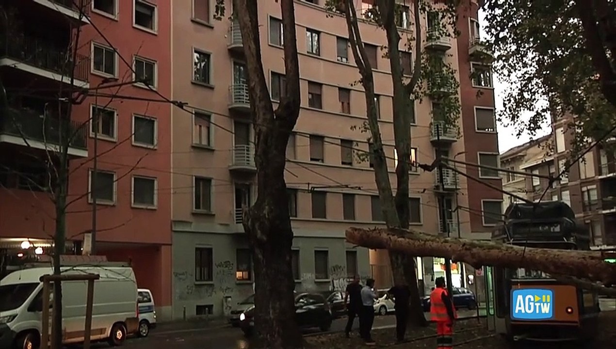 Nubifragio a Milano, un albero cade su un tram linea interrotta