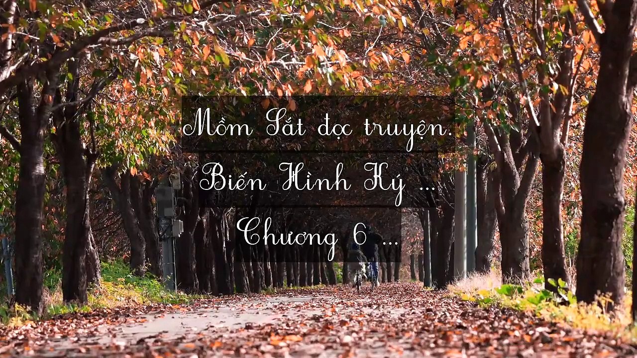 Mới 2024 Chương 1-16: Biến Hình Ký