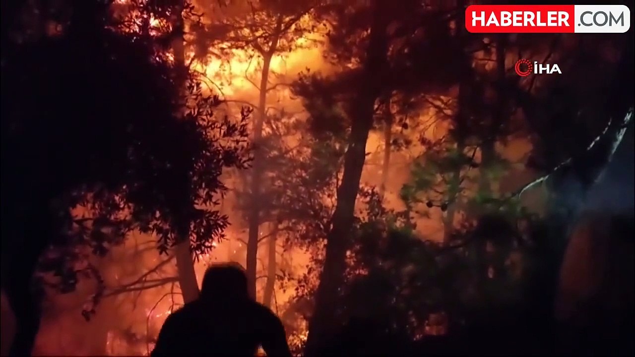 Muğla ve Aydın'daki orman yangını yerleşim yerlerine kadar ulaştı
