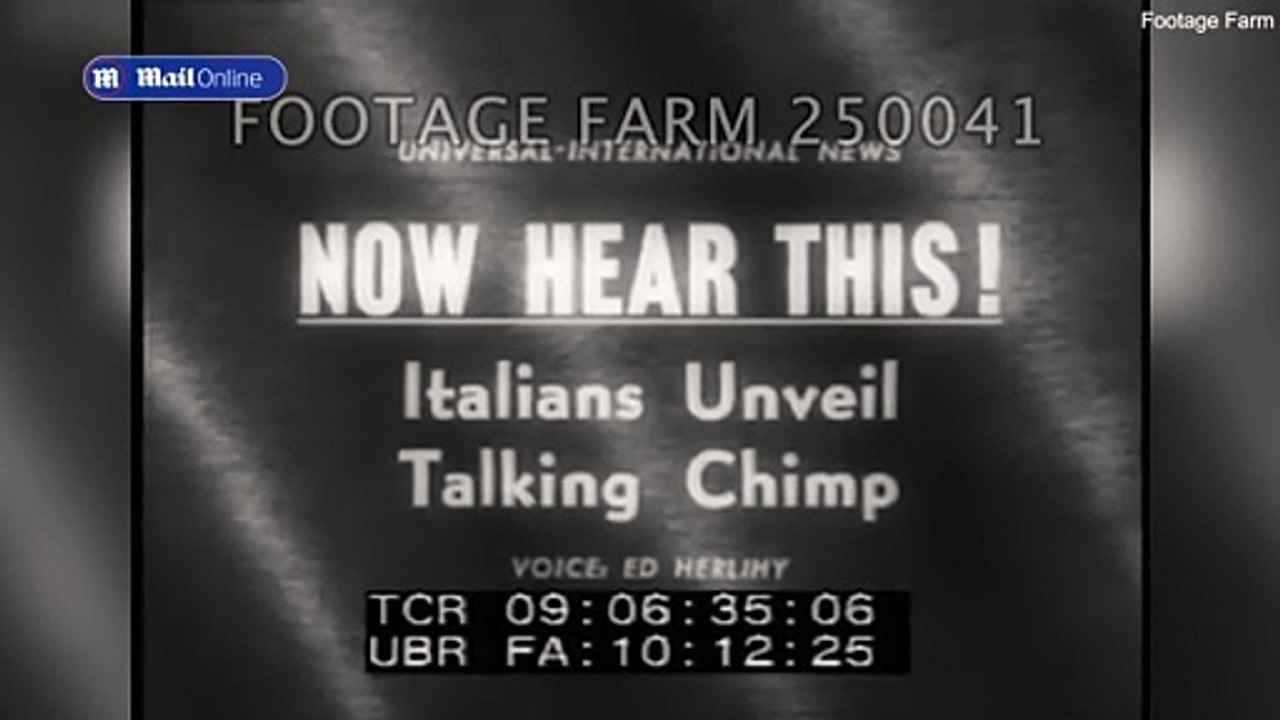 Is this old footage from 1962 PROOF that chimpanzees can speak?