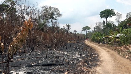 Desmatamento na Amazônia Legal tem primeiro aumento em 15 meses