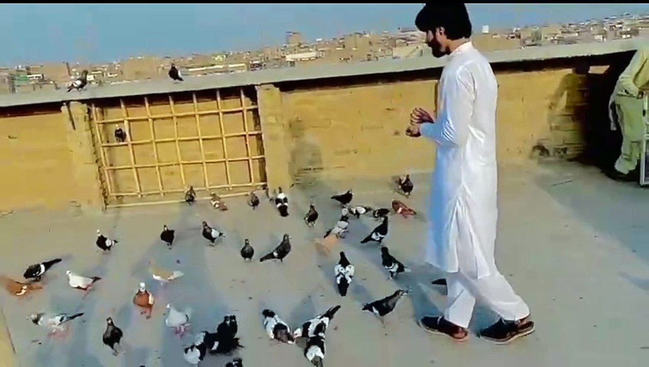 VID-20240802-WA0000