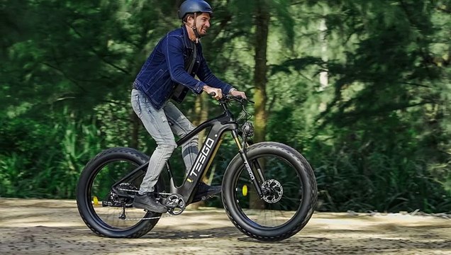Top 5 Best Fat Tire Electric Bikes 2024
